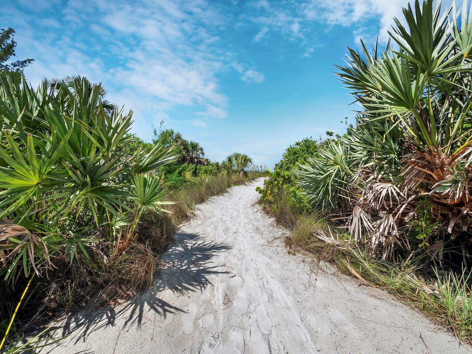 A4674992 Property Photo