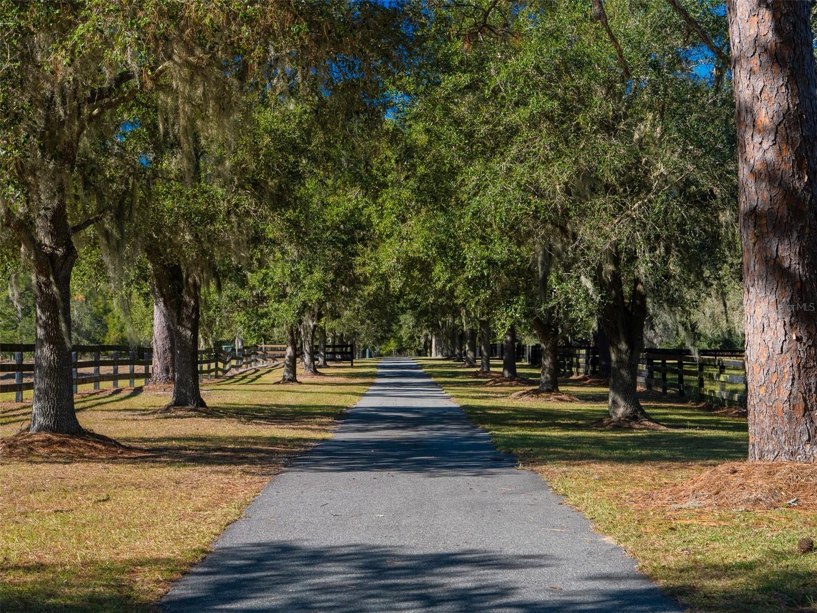 OM714938 Property Photo