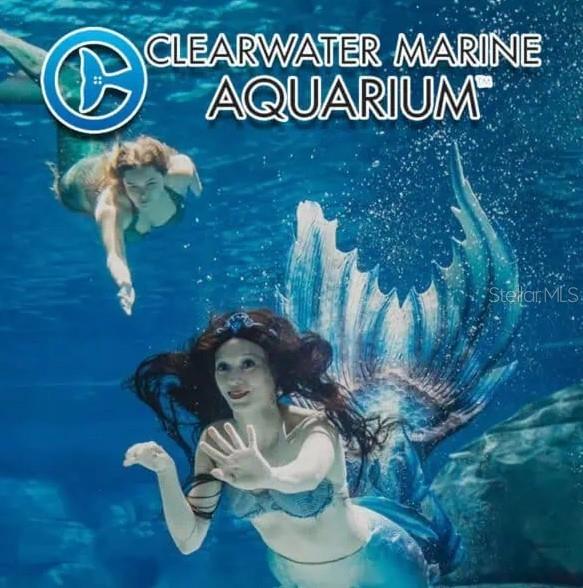 TB8455832 Property Photo