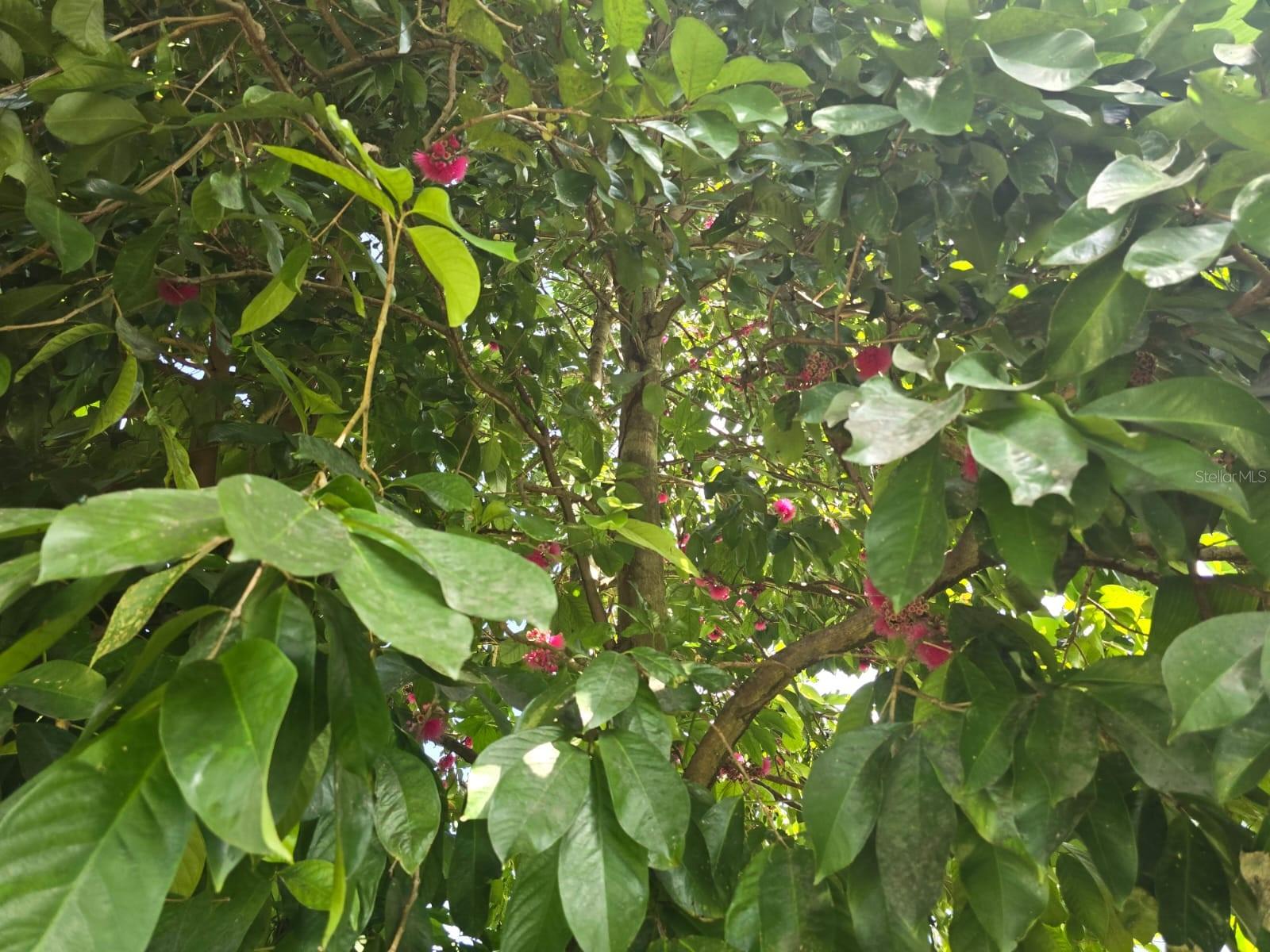 PR9117947 Property Photo