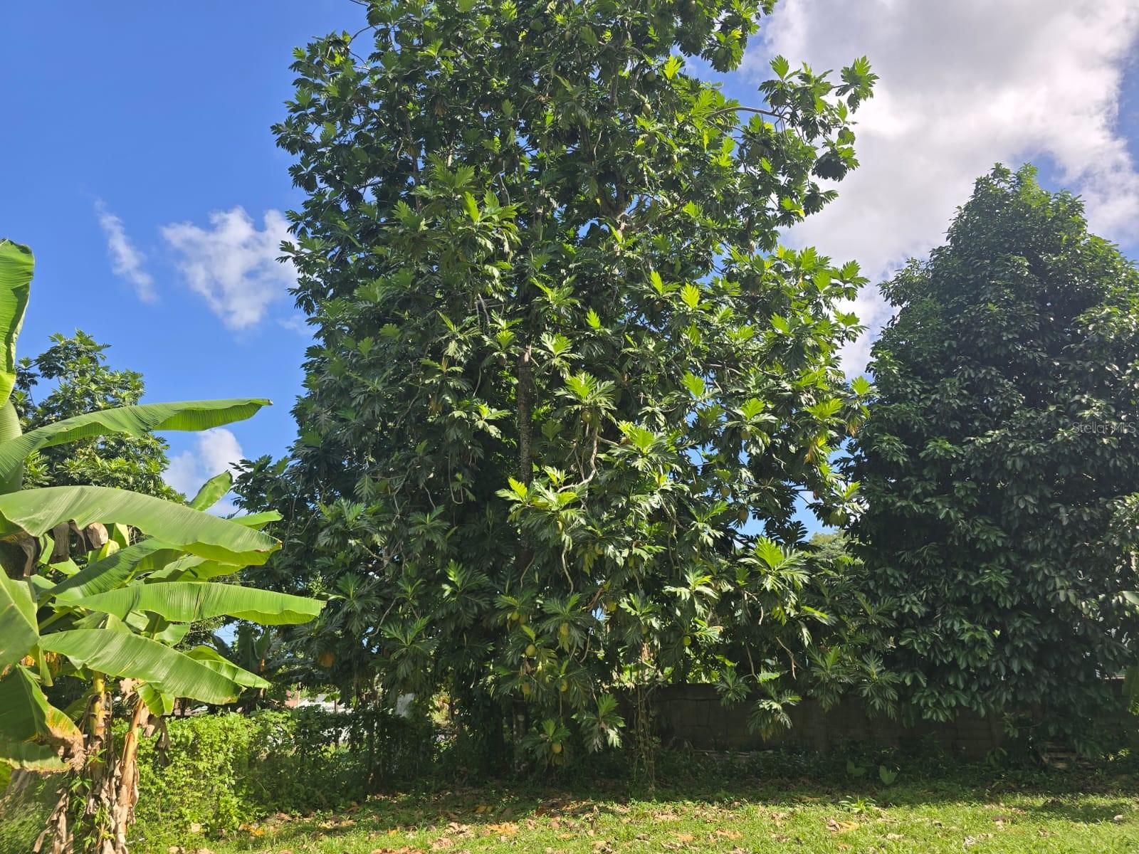 PR9117947 Property Photo