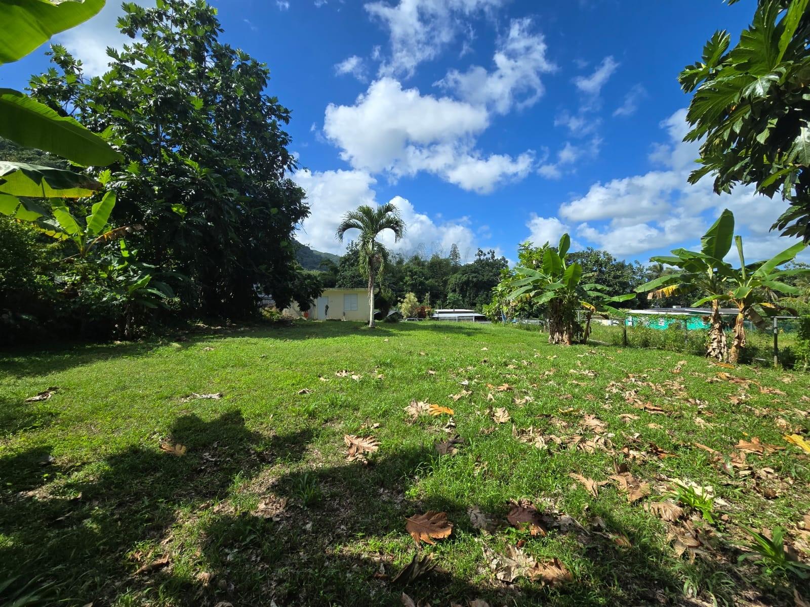 PR9117947 Property Photo