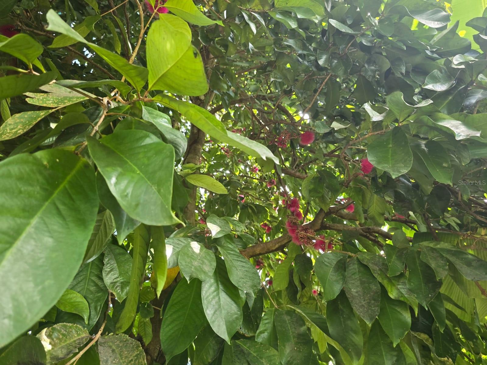 PR9117947 Property Photo