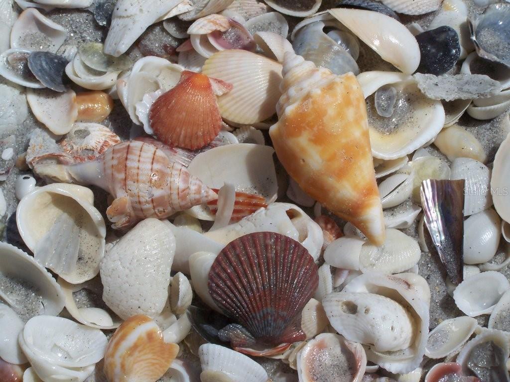 D6145179 Property Photo