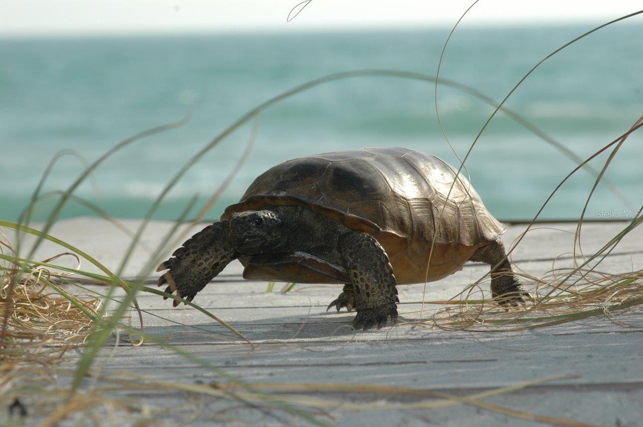 D6145179 Property Photo