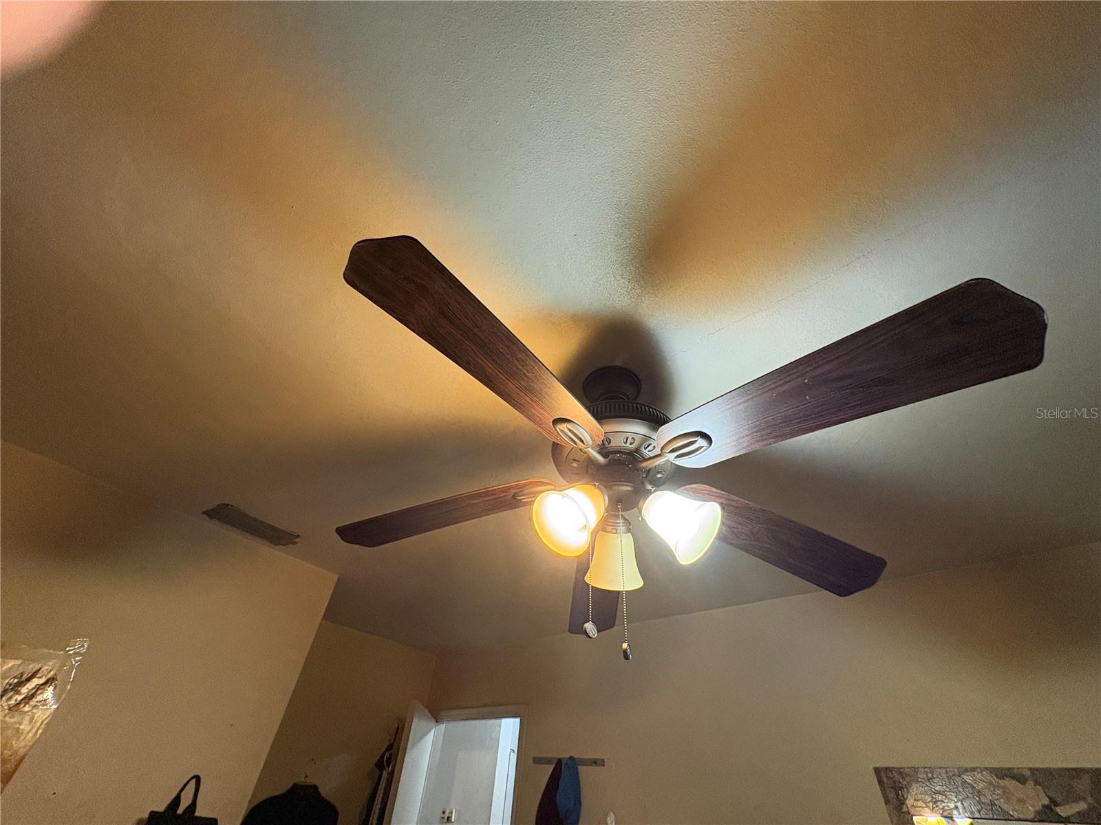 TB8456033 Property Photo