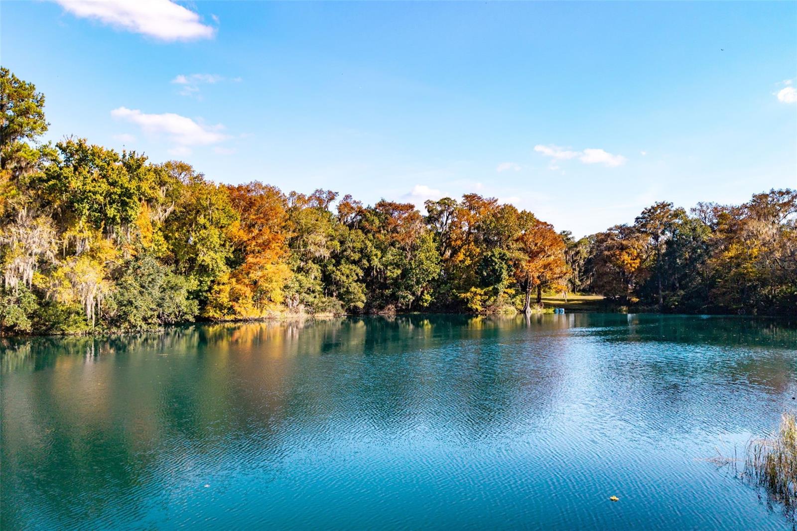 OM715071 Property Photo