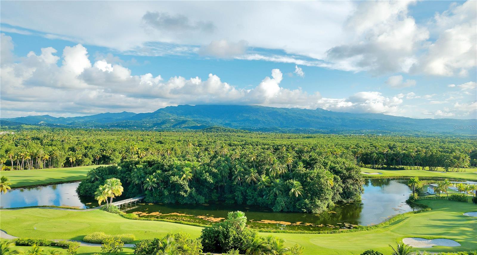 PR9118015 Property Photo