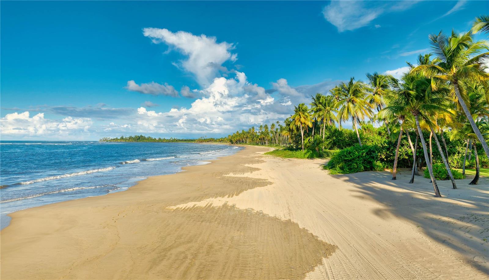 PR9118015 Property Photo