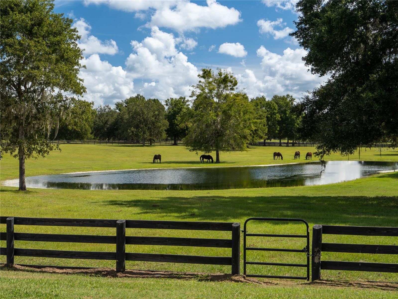 OM715167 Property Photo