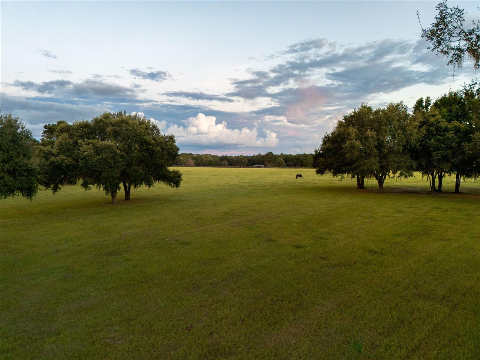 OM715167 Property Photo