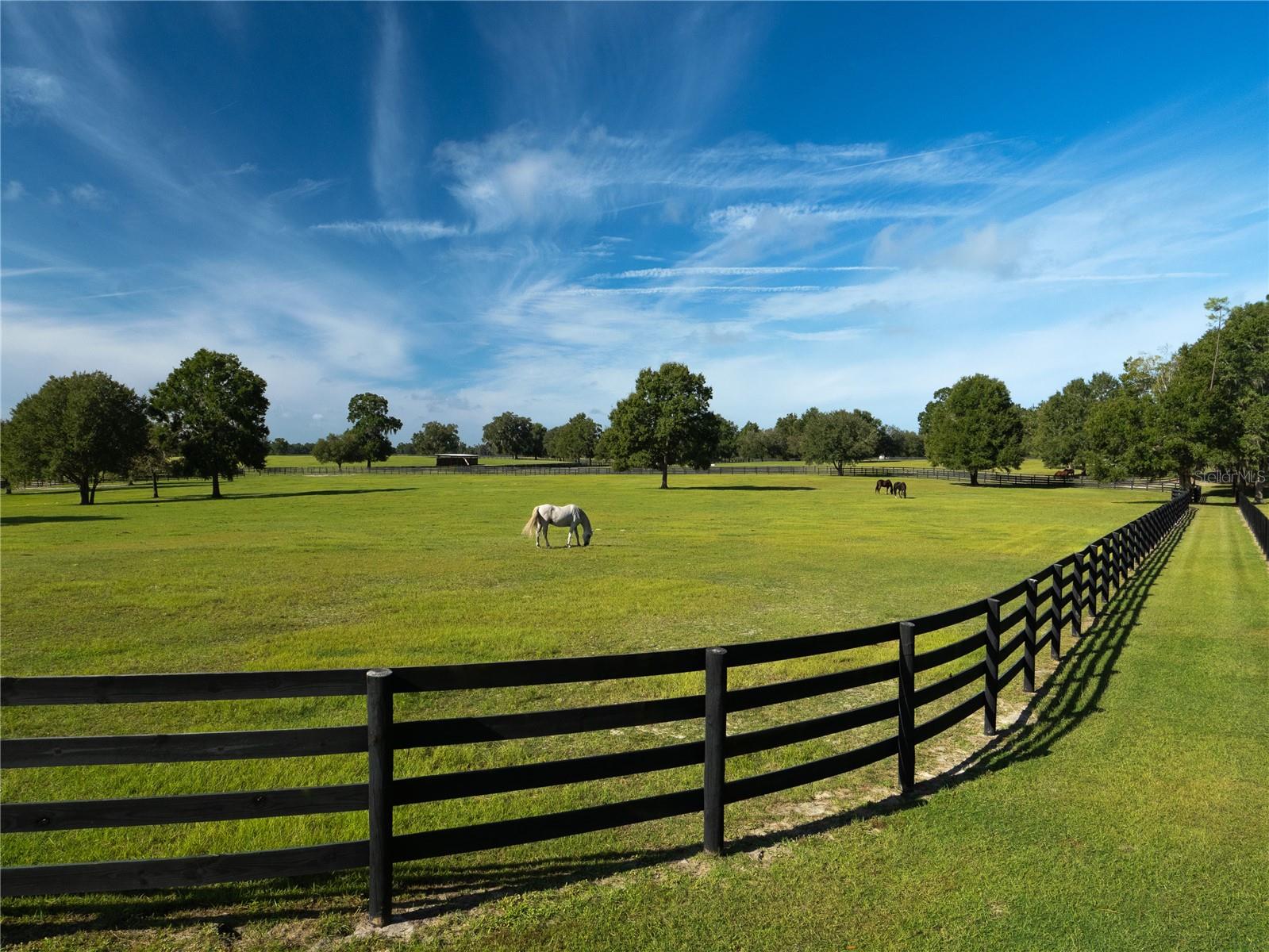 OM715167 Property Photo