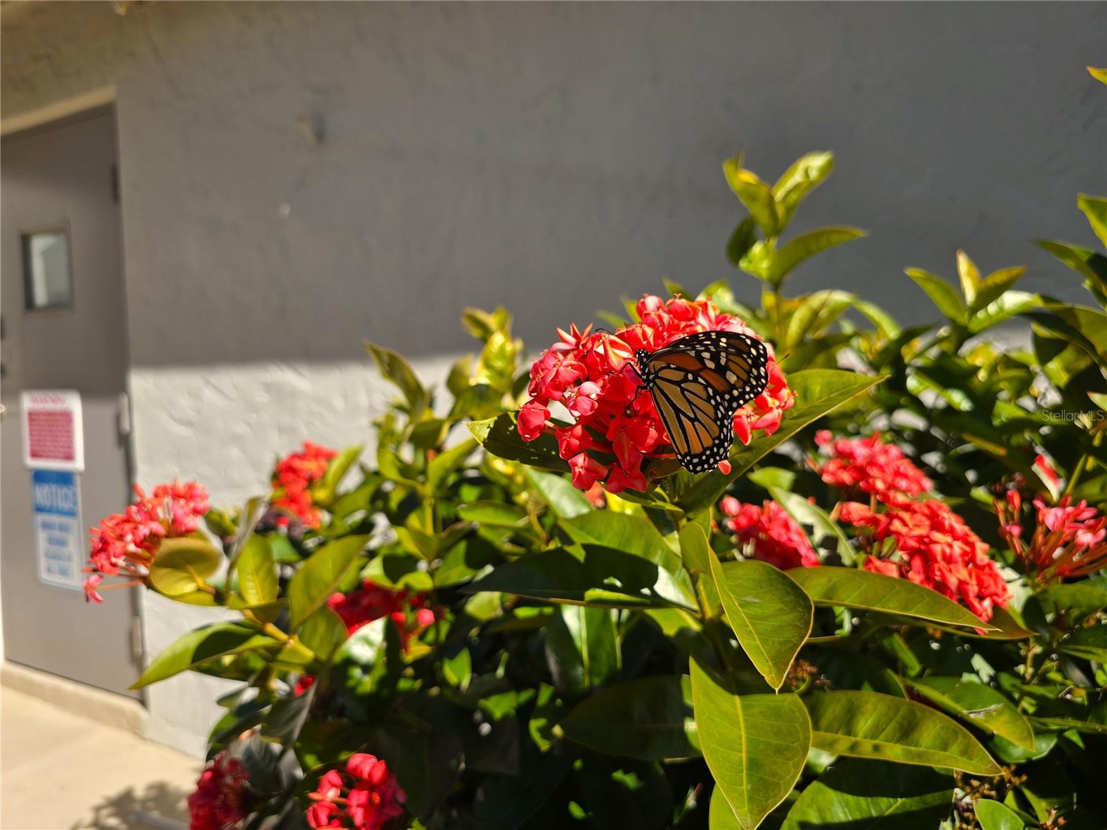 TB8457164 Property Photo