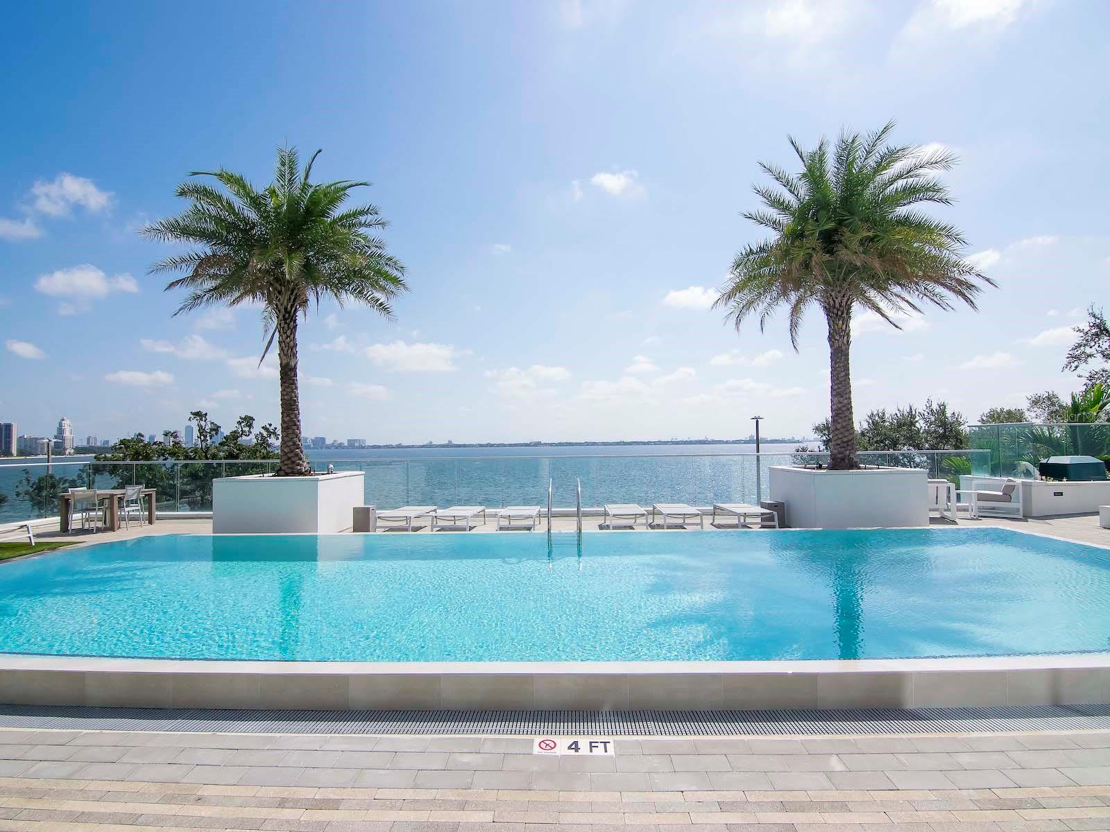 3401 BAYSHORE BLVD #1704, TAMPA, FL, 33629