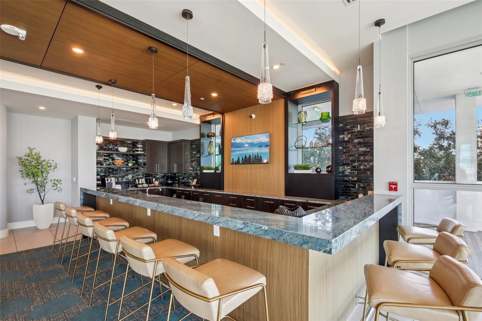 3401 BAYSHORE BLVD #1704, TAMPA, FL, 33629