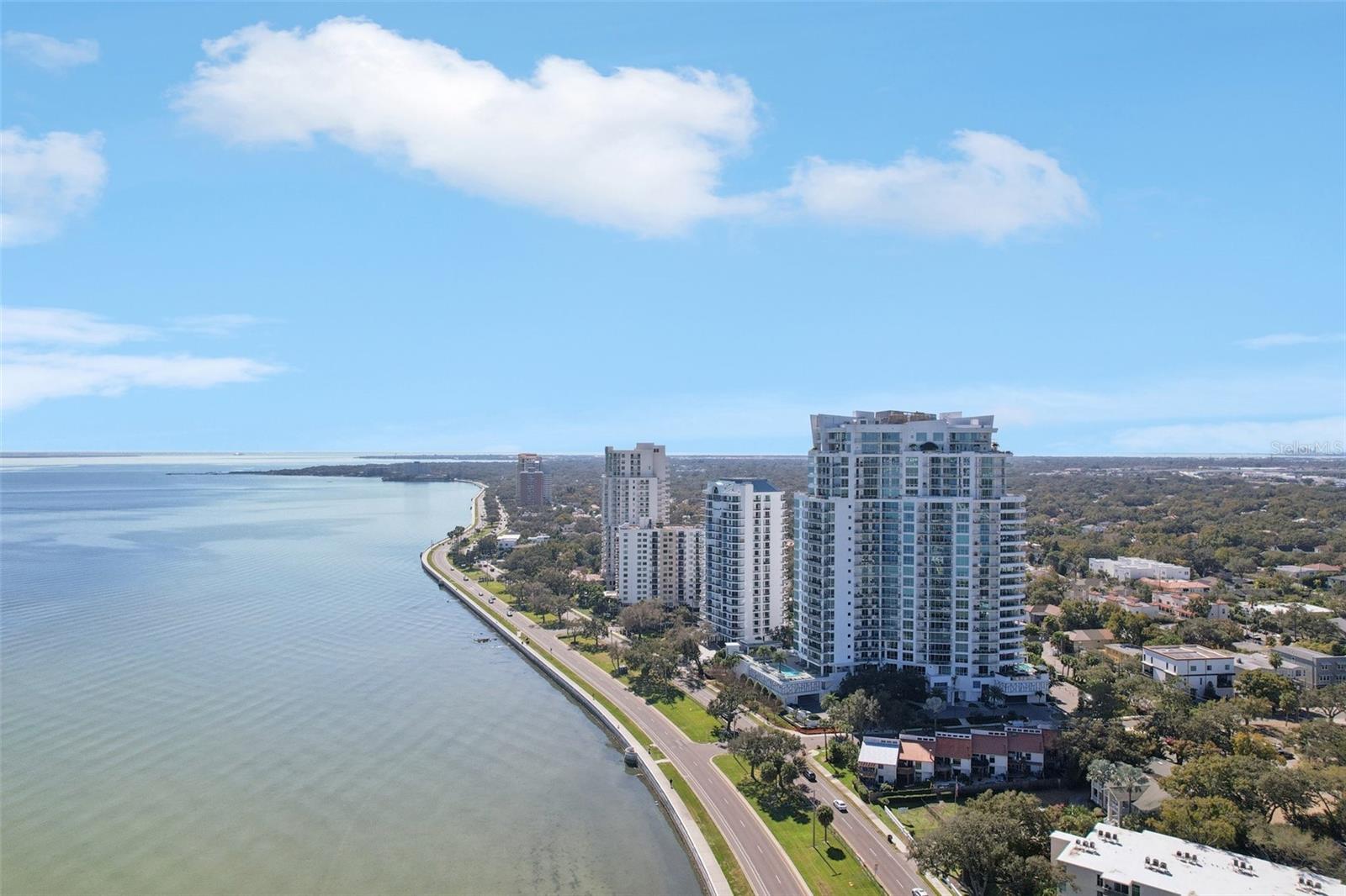 3401 BAYSHORE BLVD #1704, TAMPA, FL, 33629