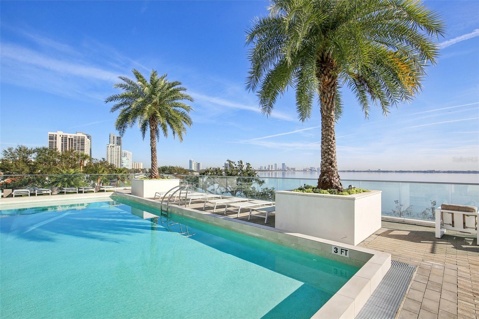 3401 BAYSHORE BLVD #1704, TAMPA, FL, 33629