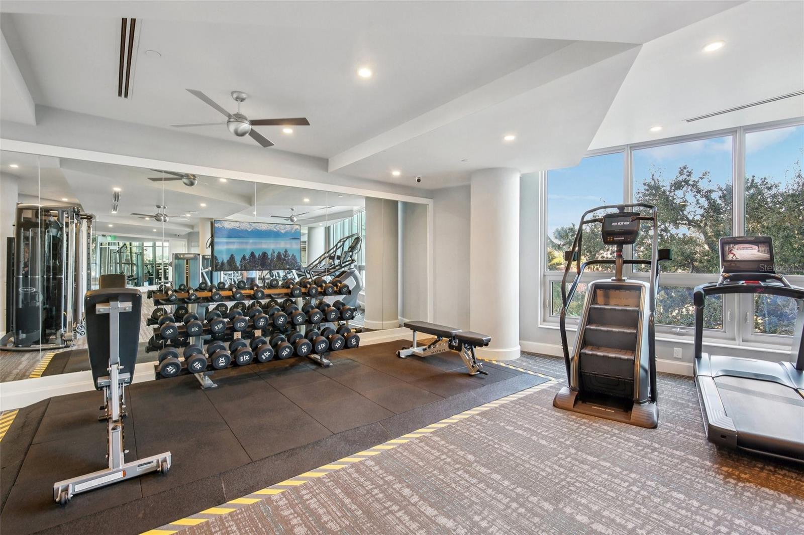 3401 BAYSHORE BLVD #1704, TAMPA, FL, 33629