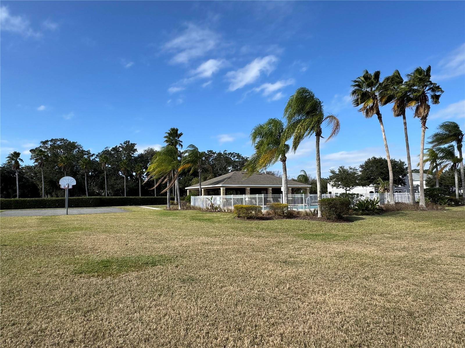 Pool and basketball court area