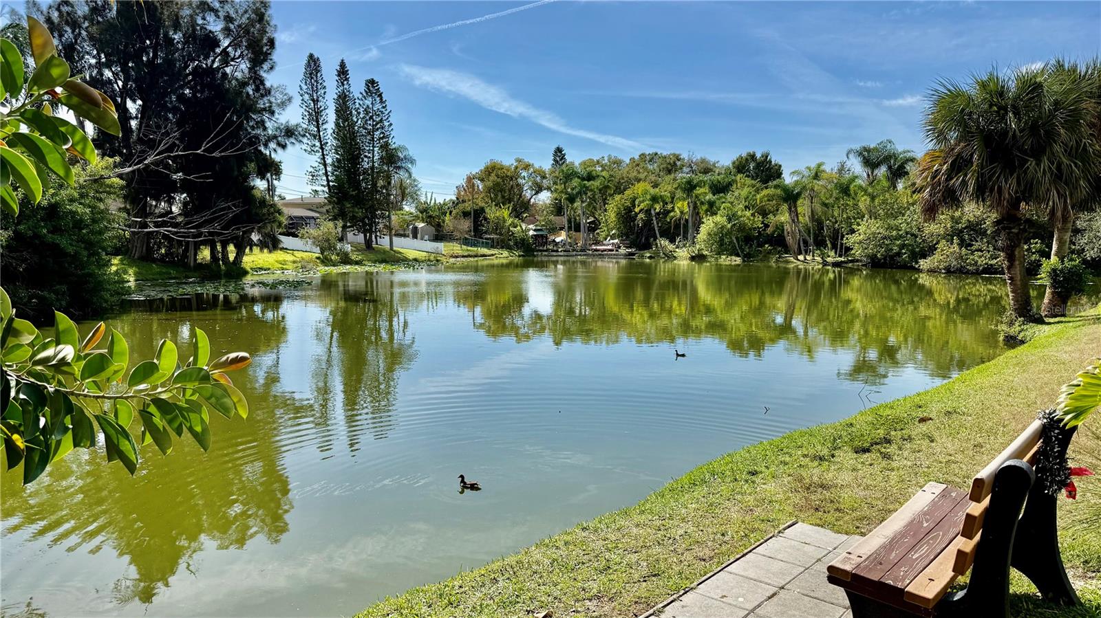 TB8457610 Property Photo