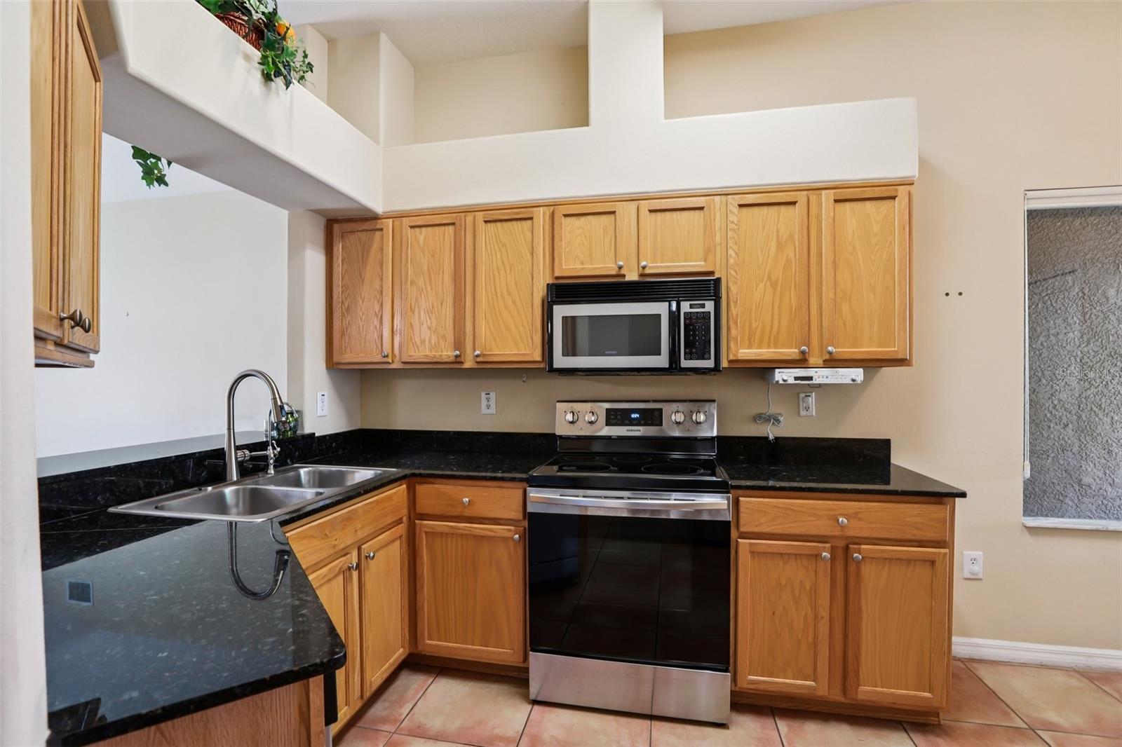 2726 BUCKHORN PRESERVE BLVD, VALRICO, FL, 33596