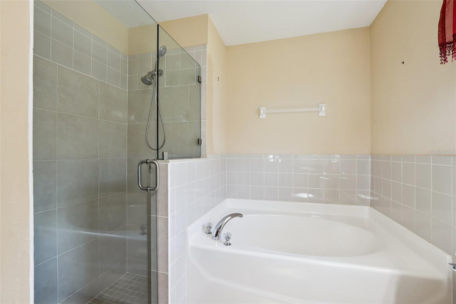 2726 BUCKHORN PRESERVE BLVD, VALRICO, FL, 33596