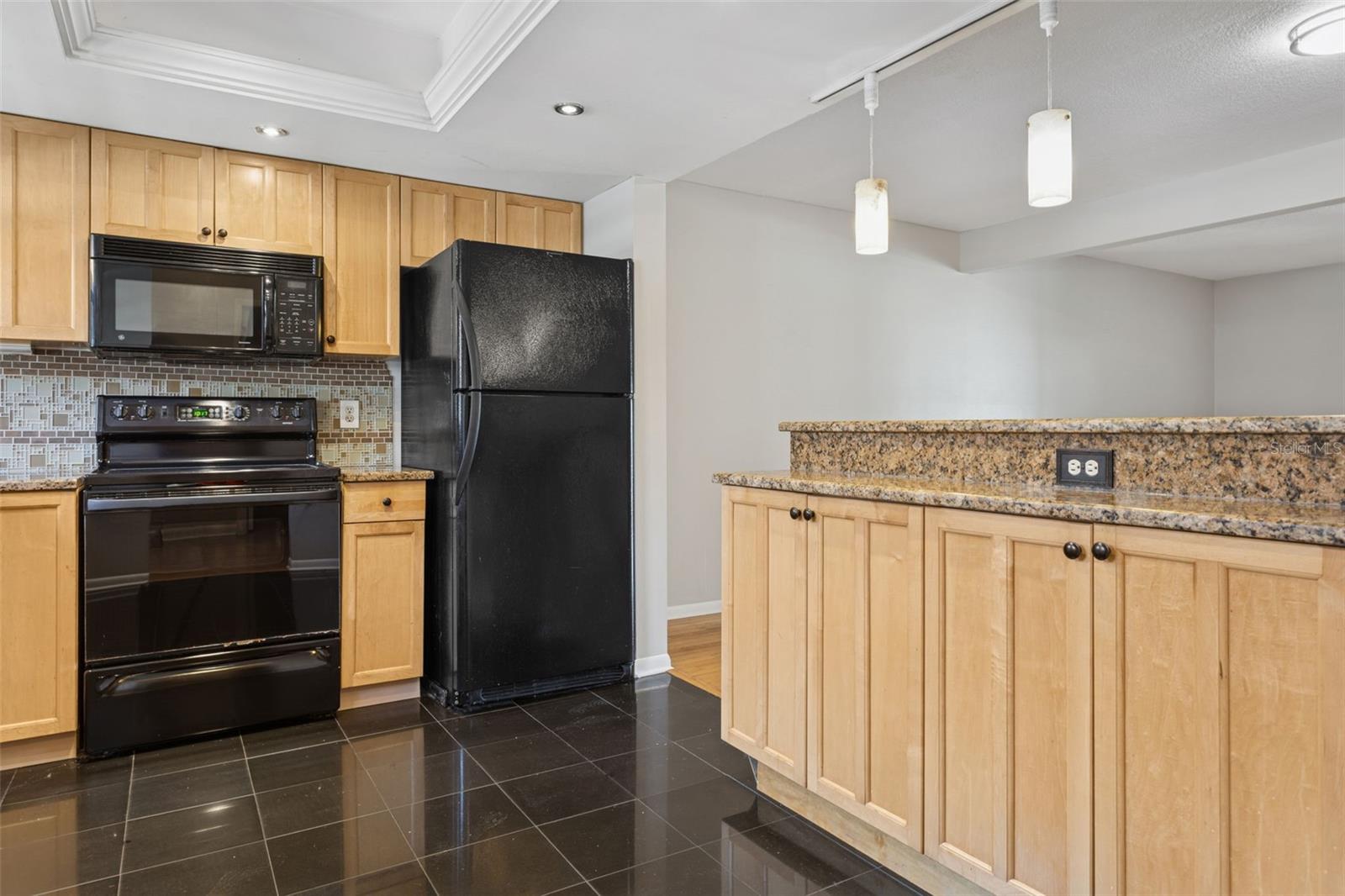 3366 W HIDDEN HAVEN CT, TAMPA, FL, 33607