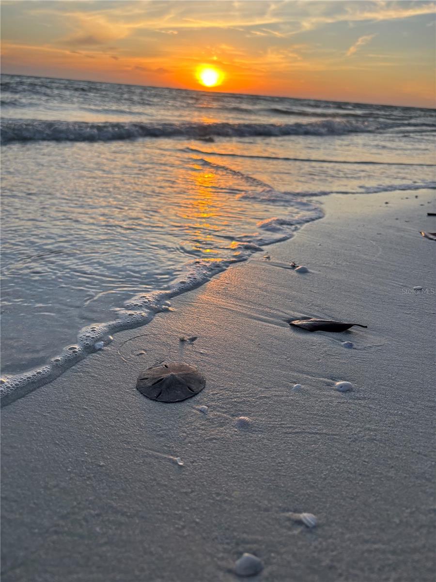 C7519236 Property Photo