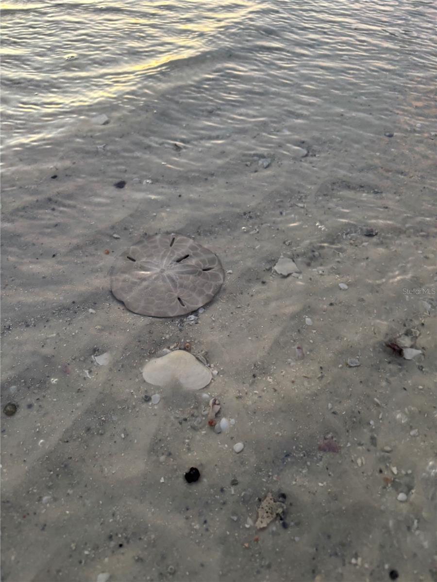 C7519236 Property Photo