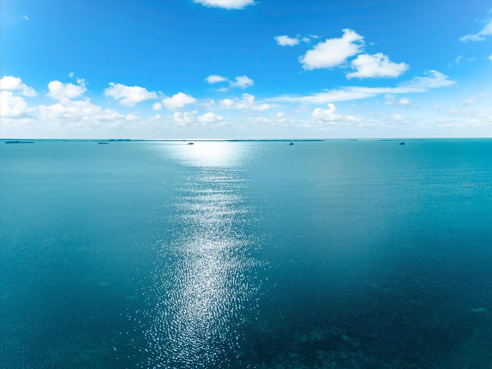 628 MAYO ST, PALM HARBOR, FL, 34683