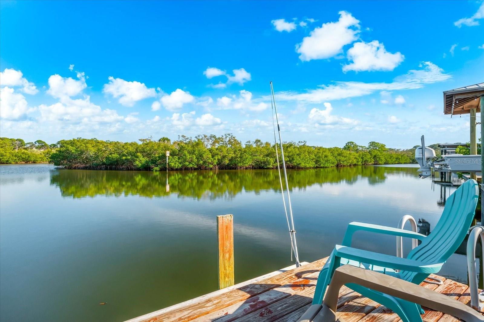 628 MAYO ST, PALM HARBOR, FL, 34683