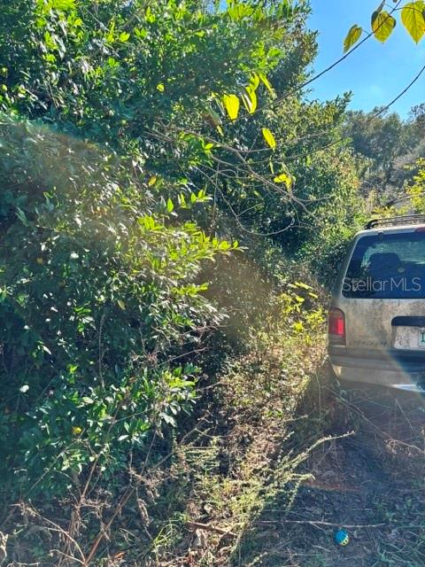 OM715464 Property Photo