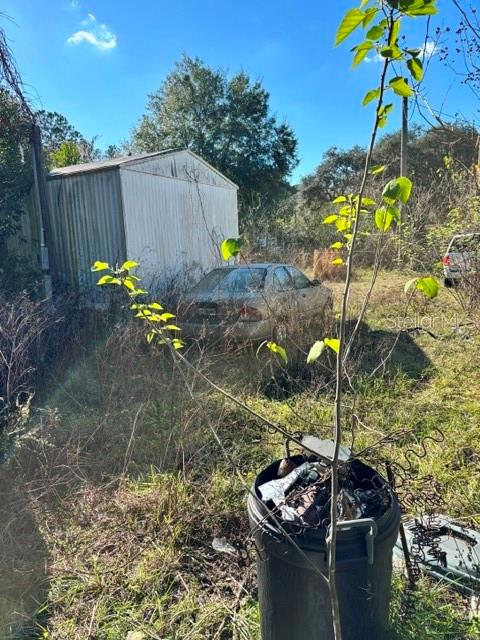 OM715464 Property Photo