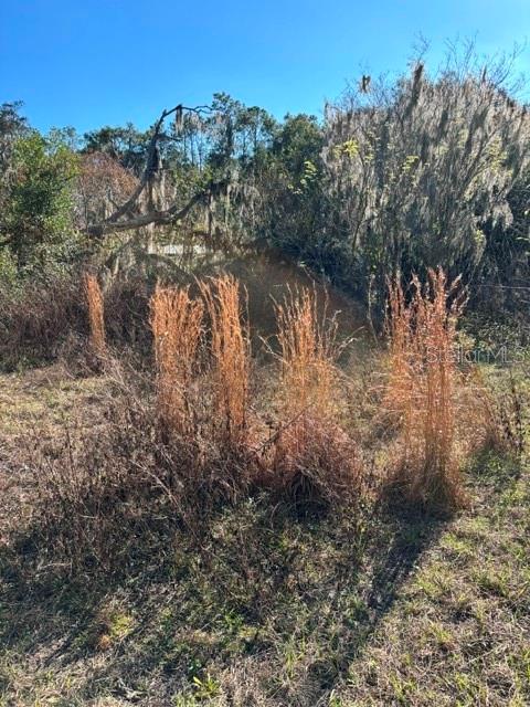 OM715464 Property Photo