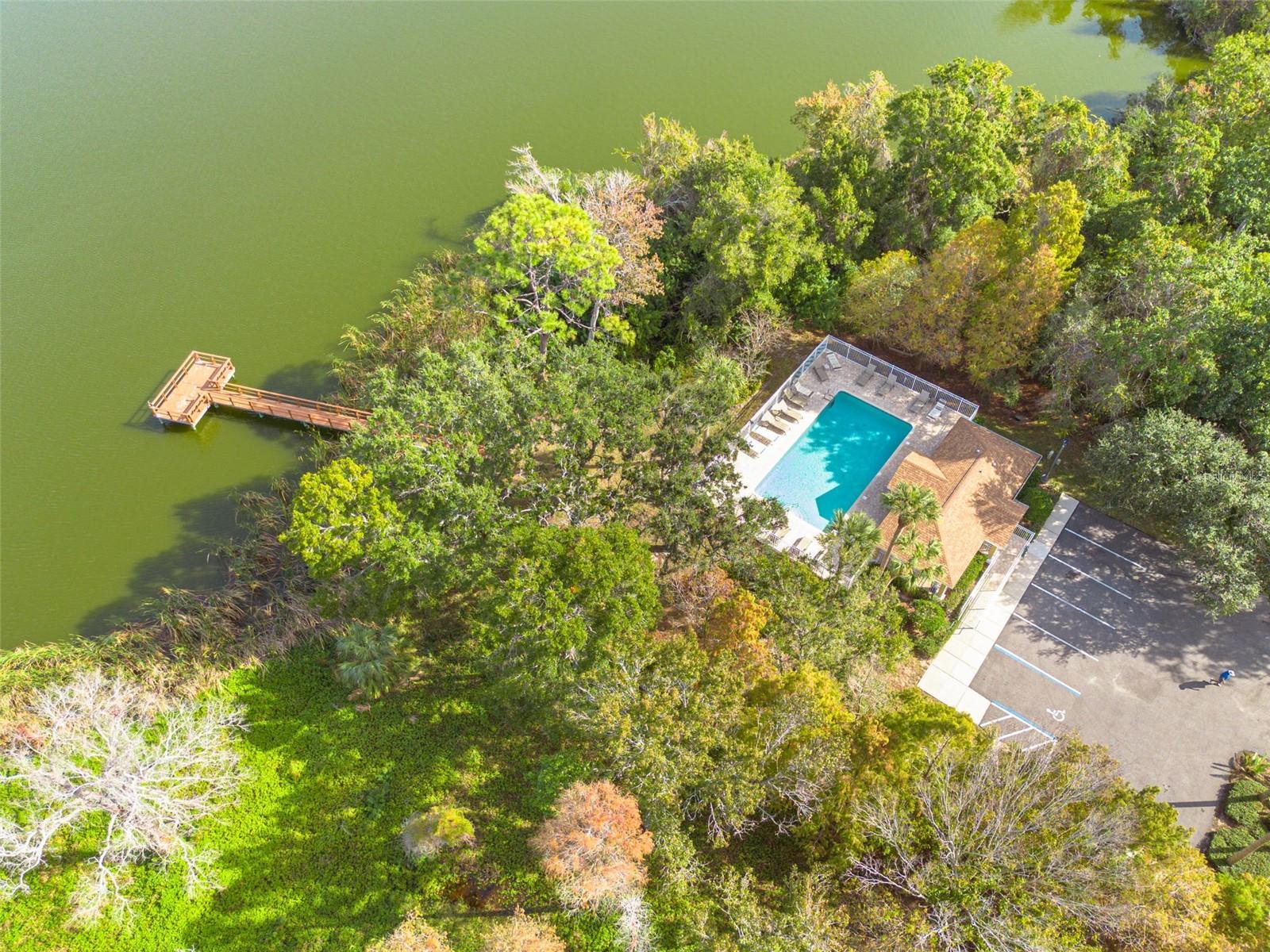 Aerial of Pool and Fishing Dock