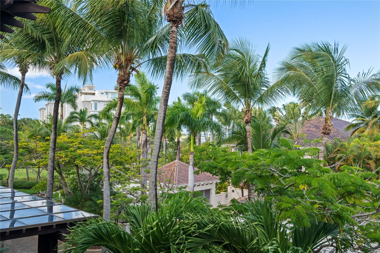 PR9118152 Property Photo