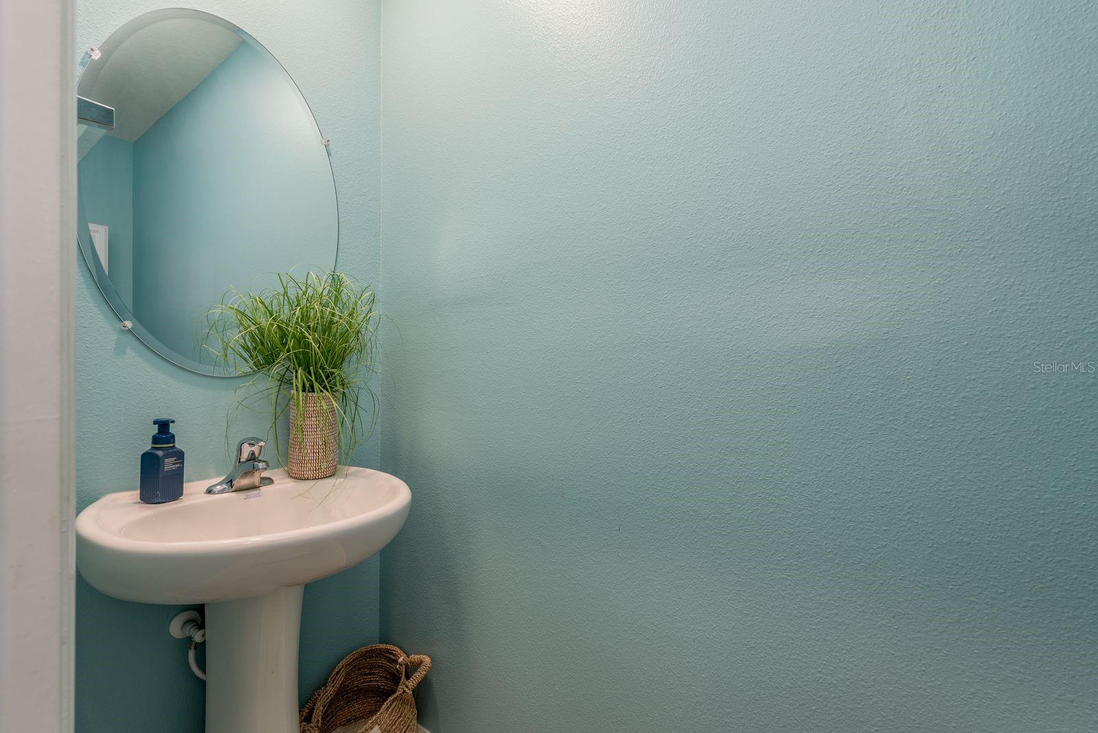 Lower level bathroom