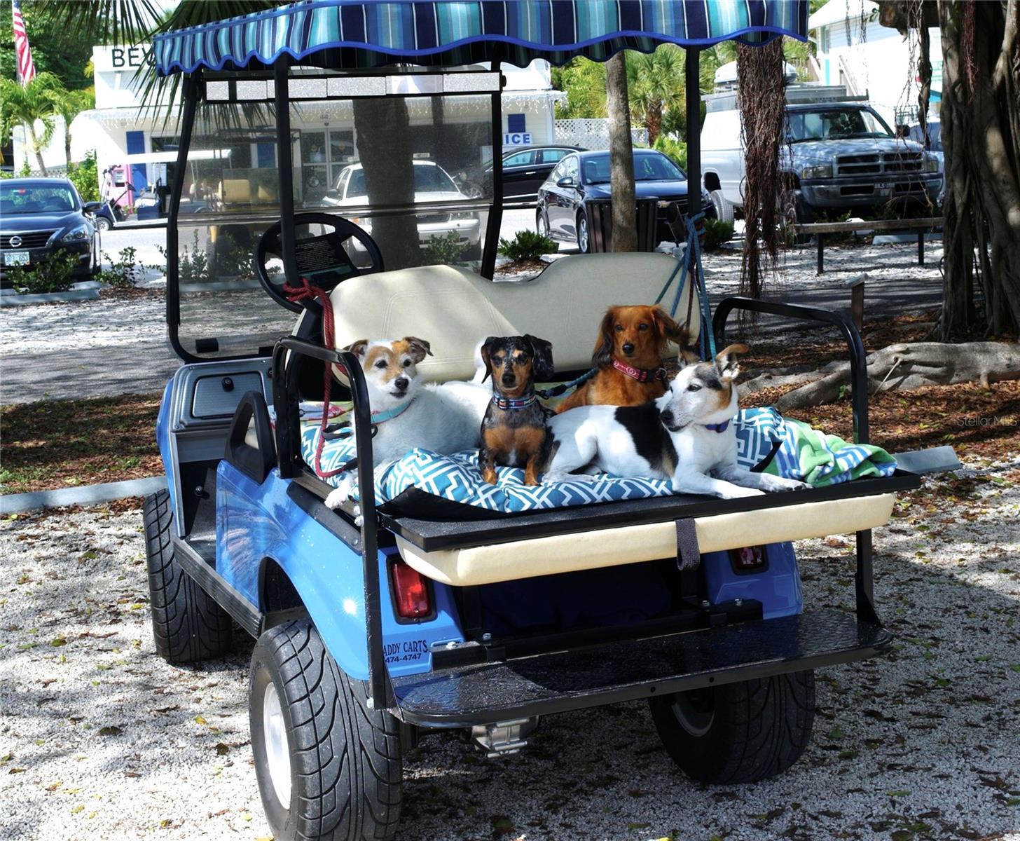 D6145289 Property Photo