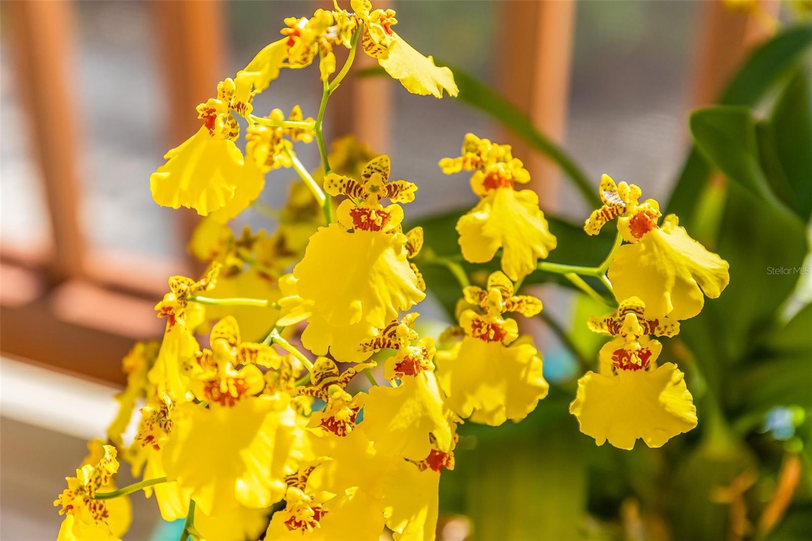 D6145289 Property Photo