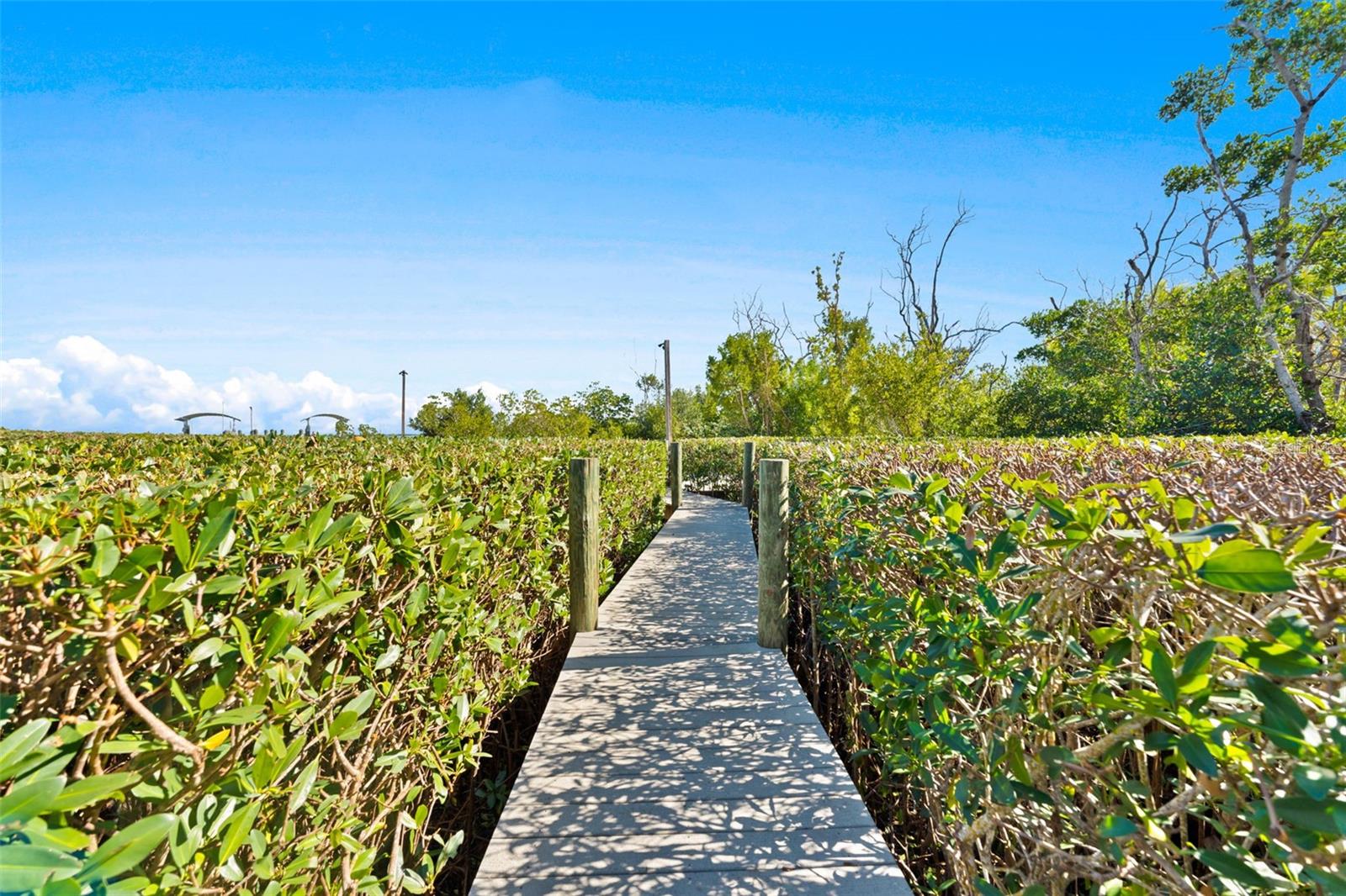 TB8458432 Property Photo