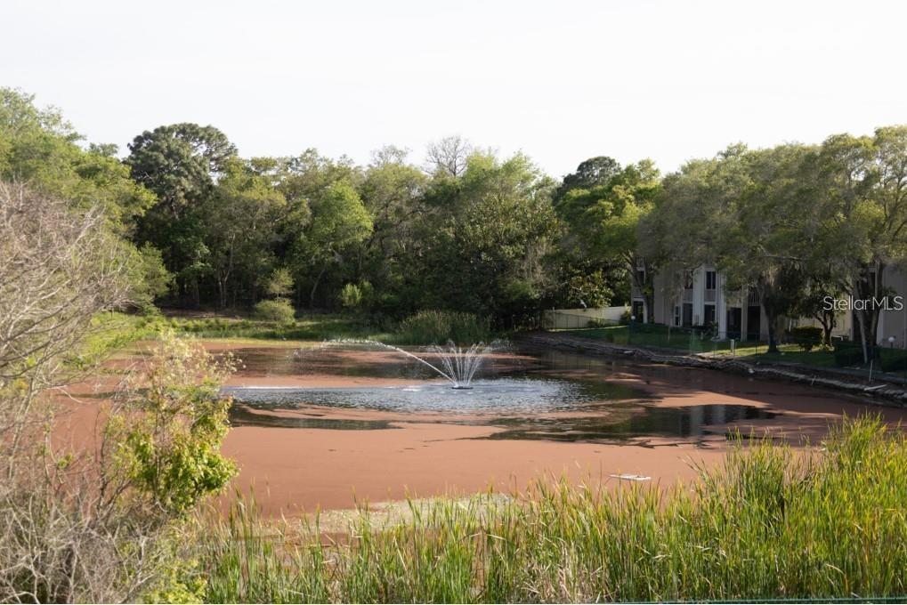 TB8458697 Property Photo