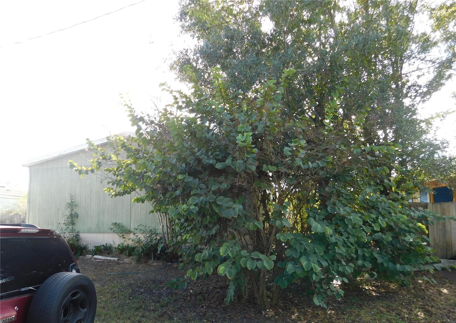 TB8458741 Property Photo