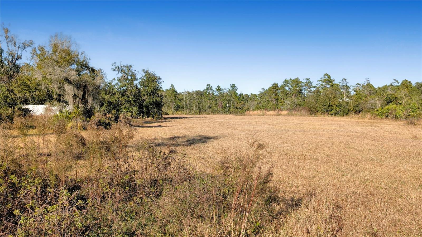 23545 BISHOP AVE, CHRISTMAS, FL, 32709