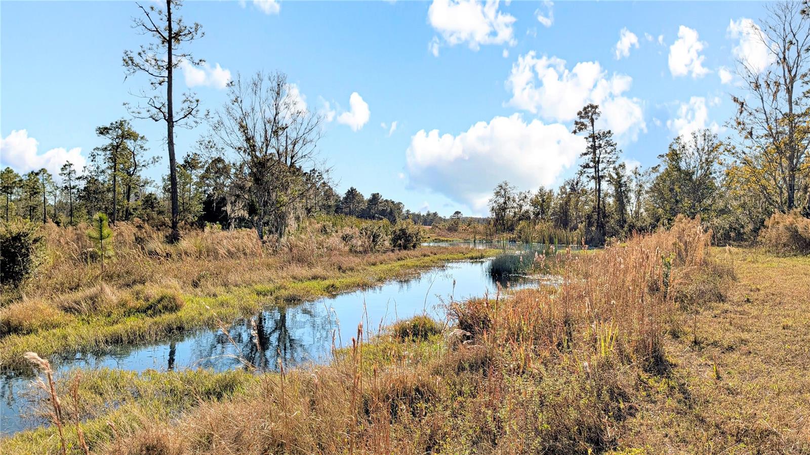 23545 BISHOP AVE, CHRISTMAS, FL, 32709