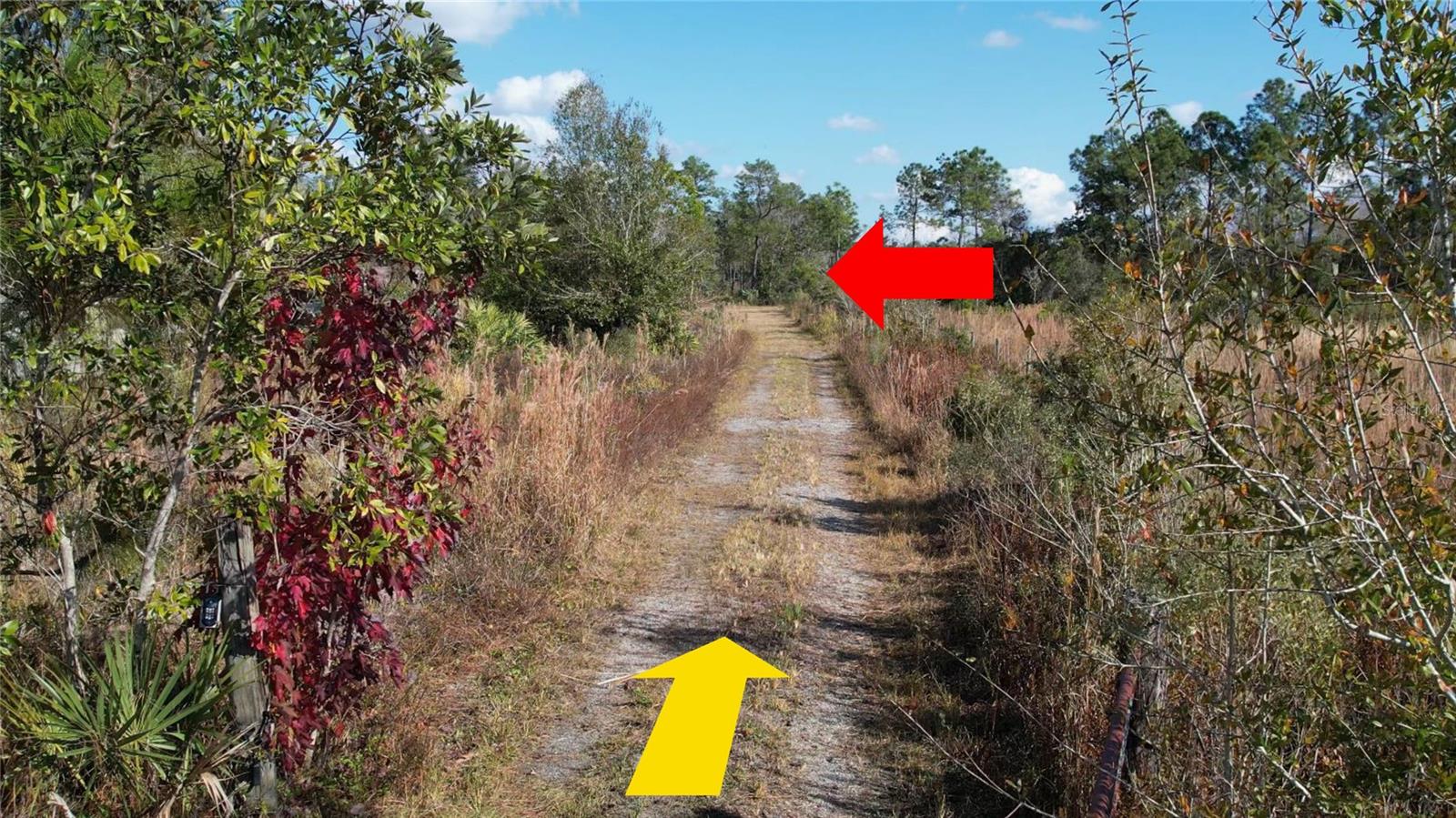 23545 BISHOP AVE, CHRISTMAS, FL, 32709