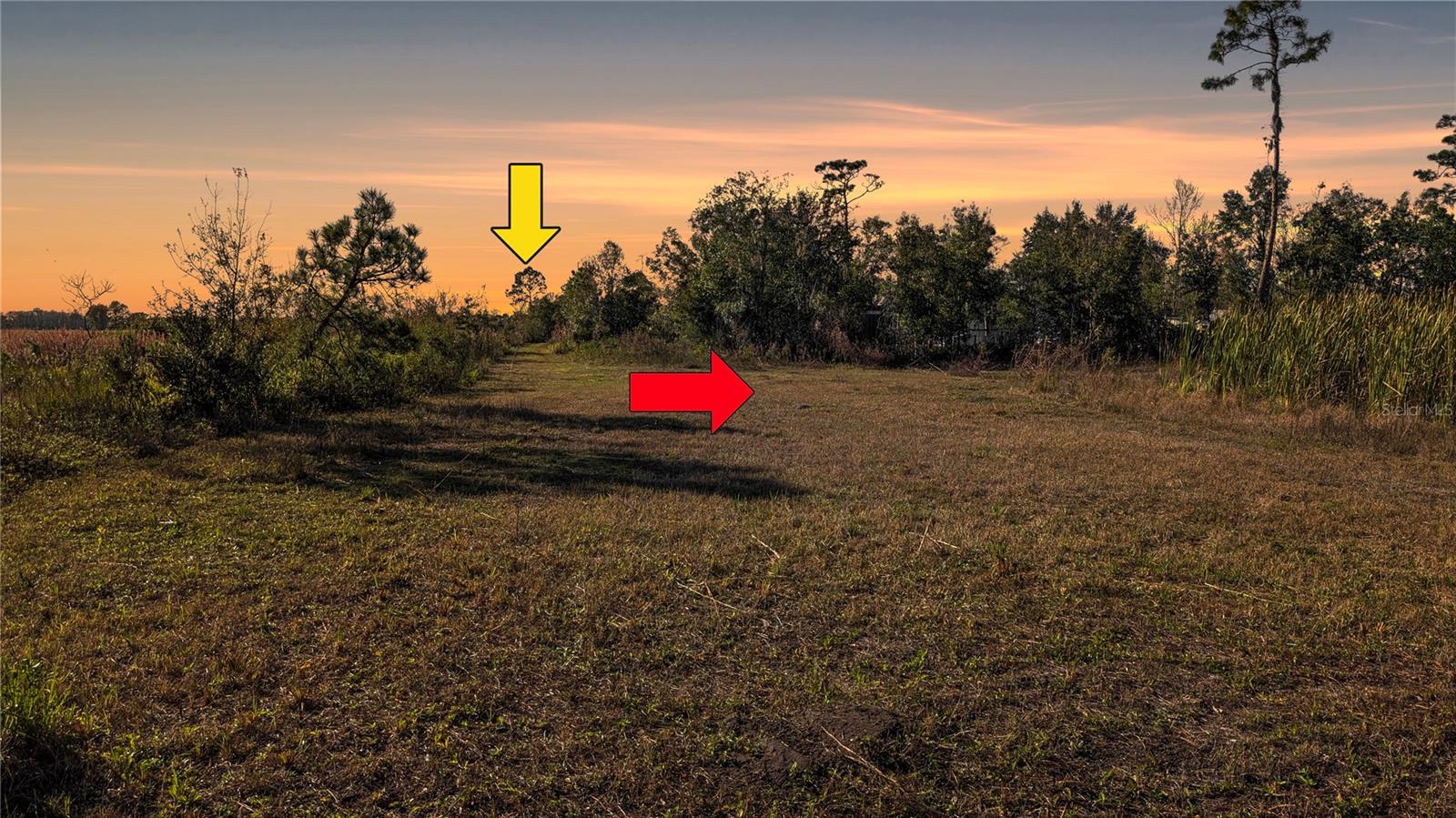 23545 BISHOP AVE, CHRISTMAS, FL, 32709