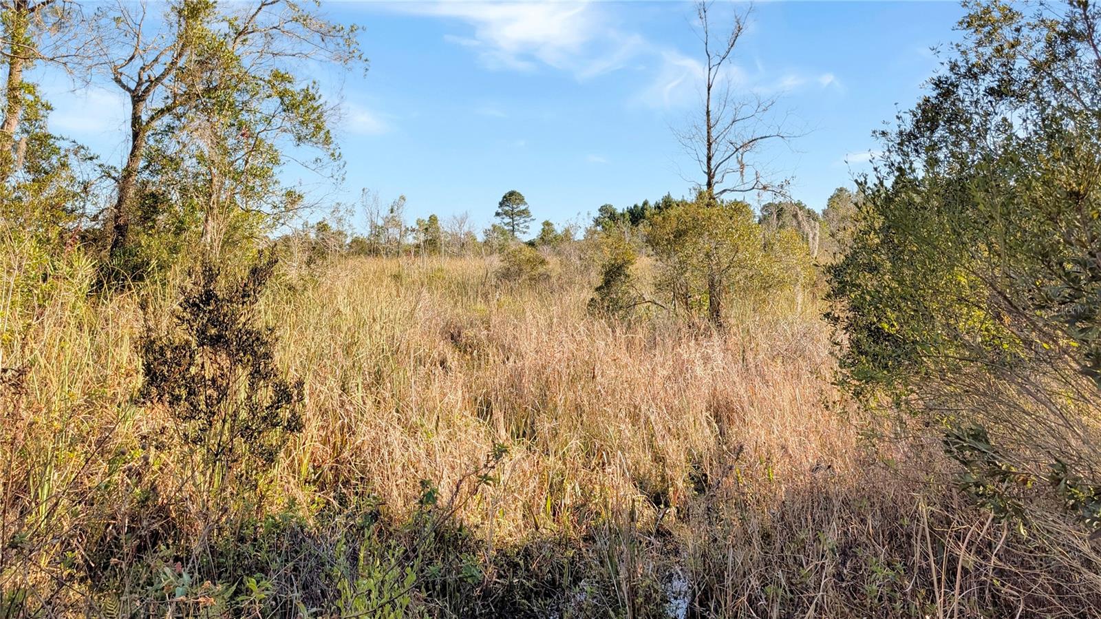 23545 BISHOP AVE, CHRISTMAS, FL, 32709