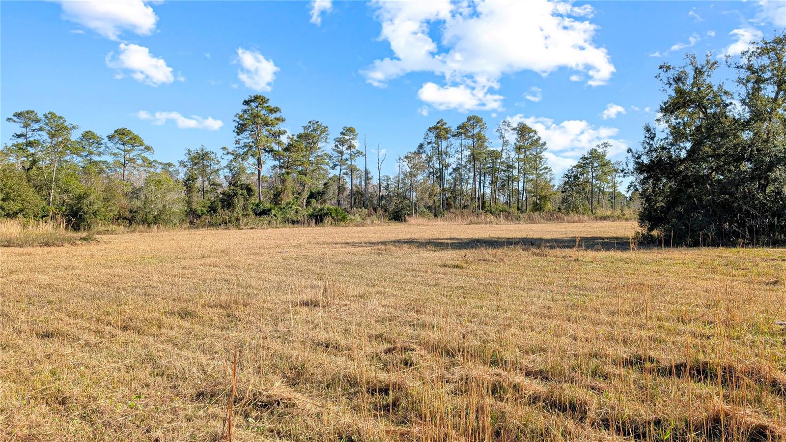 23545 BISHOP AVE, CHRISTMAS, FL, 32709