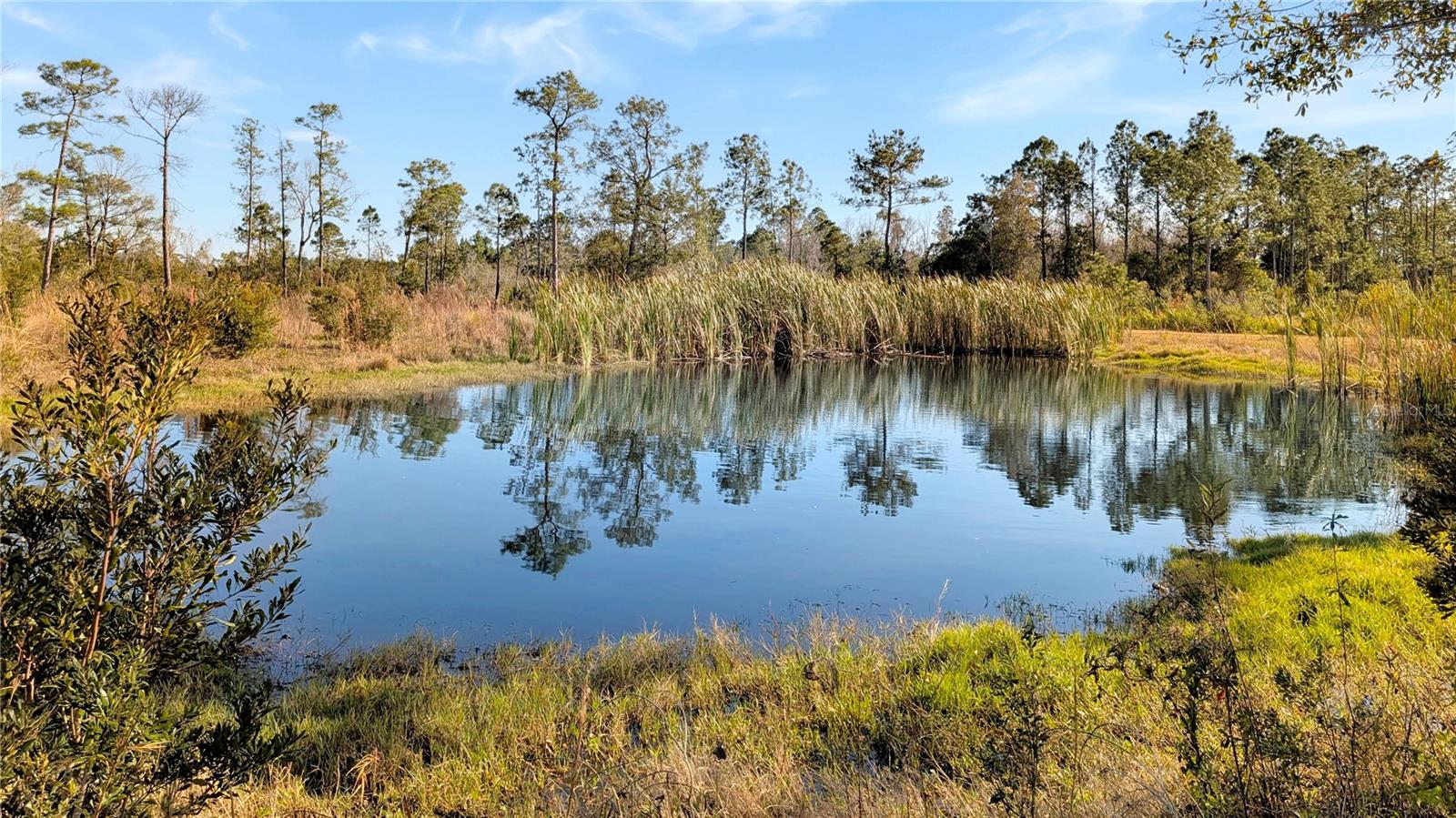 23545 BISHOP AVE, CHRISTMAS, FL, 32709