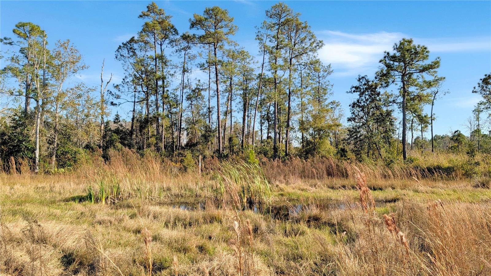 23545 BISHOP AVE, CHRISTMAS, FL, 32709